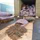 Chinese customs officials stand near scales of pangolins they seized on a ship in Shenzhen, Guangdong province, China Nov. 29, 2017.